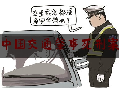 中国交通肇事死刑案（大连撞人刘东简历）