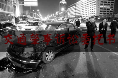 简单说一下交通肇事诉讼委托书,醉驾发生交通事故致人死亡的,以下哪些费用应当由肇事者赔偿