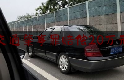交通肇事罪赔偿20万元（南昌车祸一死一伤）