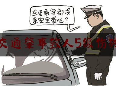 交通肇事致人5级伤残（医美违规案例）