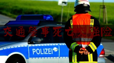 简单说一下交通肇事死亡交强险,交通肇事逃逸起诉保险公司吗