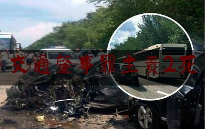 交通肇事罪主责2死（邻居家的toyota出了车祸）