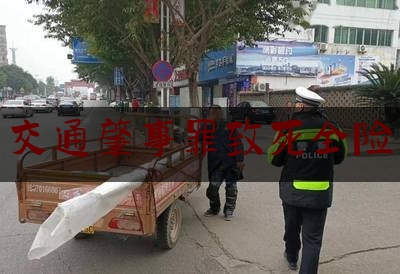 实事观点讯息:交通肇事罪致死全险,交通事故没有保险怎么赔偿