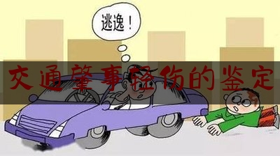 简单明了!交通肇事轻伤的鉴定,轻伤2级鉴定标准