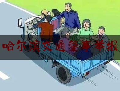 各位普及一下哈尔滨交通肇事举报,东莞公安交警网