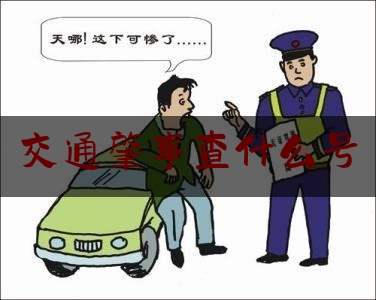 交通肇事查什么号（车牌号的车主怎么查）