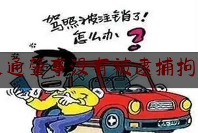 交通肇事没有被逮捕拘留（开车撞人死亡后最好处理流程）