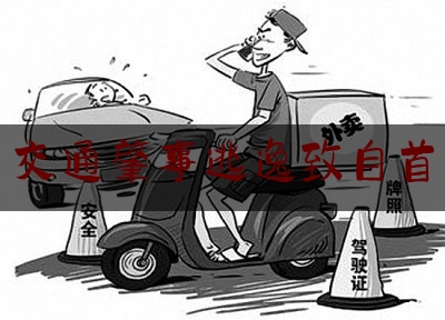 各位普及一下交通肇事逃逸致自首,小伙学开车
