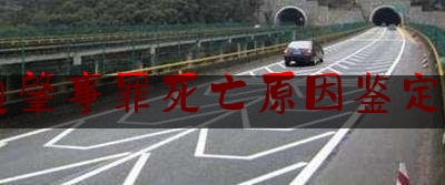 交通肇事罪死亡原因鉴定50%（在醉酒驾驶致人死亡的案件中如何区分交通肇事罪与故意杀人罪）