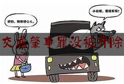 最新热点解说交通肇事罪没被开除,贵州省党员干部酒驾如何处理?