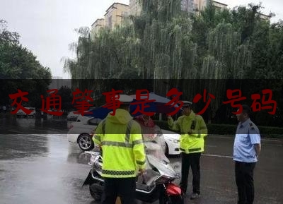 实事专业头条:交通肇事是多少号码,什么违法扣九分