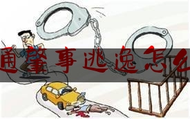 交通肇事逃逸怎么陪（发生交通事故后，机动车驾驶人逃逸的，有关赔偿责任如何承担？）