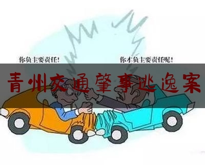 24小时专业讯息:青州交通肇事逃逸案,青州命案把一男的给煮了