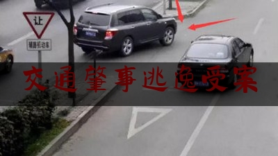 交通肇事逃逸受案（杭州酒驾撞死大学生）