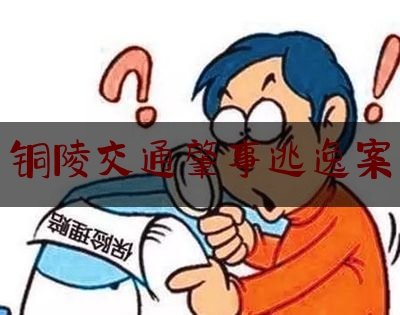 简单明了!铜陵交通肇事逃逸案,铜陵市公共资源交易中心