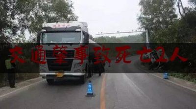 交通肇事致死亡2人（上海 闵行 车祸）