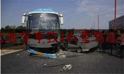 交通肇事致1人重伤逃逸（文山任免）