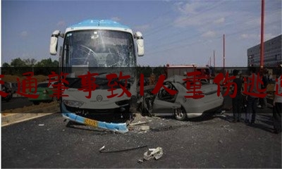 交通肇事致1人重伤逃逸（文山任免）