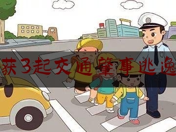 破获3起交通肇事逃逸案（老年人被车祸撞死赔多少钱）