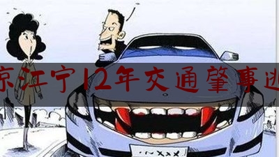 南京江宁12年交通肇事逃逸（电动车撞人次要责任）