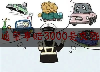 交通肇事赔3000是交强险（儿童保险价格）