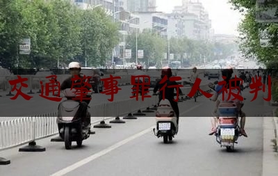 交通肇事罪行人被判（醉汉雨夜驾车在上海撞死一名行人，涉嫌交通肇事罪被批准逮捕）