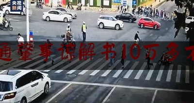 交通肇事谅解书10万多不多（赔了几十万怎么办）