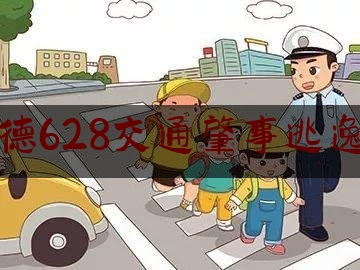 绥德628交通肇事逃逸案（绥德一中李绥宝）