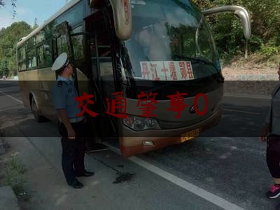 交通肇事0（交警执勤遭袭击牺牲原因）