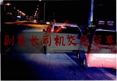 「普及一下」副县长司机交通肇事,河南政务服务网