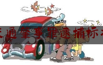 交通肇事罪逮捕标准（醉汉雨夜驾车在上海撞死一名行人，涉嫌交通肇事罪被批准逮捕）
