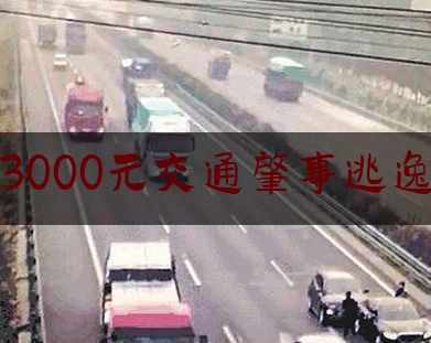 3000元交通肇事逃逸（潜藏逃逸）