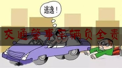 实事观点讯息:交通肇事车辆负全责,交通肇事逃逸保险公司是否理赔