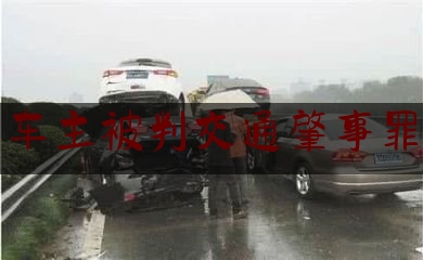 [见解]爆料知识:车主被判交通肇事罪,醉驾致人死亡保险公司是否赔偿