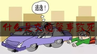 权威专业资讯:什么是交通肇事致死,交通肇事罪和过失致人死亡罪