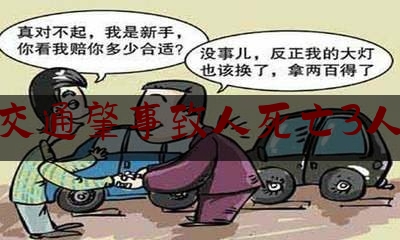交通肇事致人死亡3人（酒驾车祸事件）