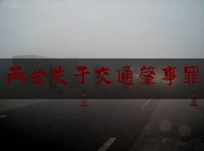 普及一下两会关于交通肇事罪,危险驾驶罪是什么法律