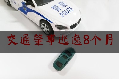 交通肇事逃逸8个月（无证驾驶撞人逃逸后自首怎么处罚）