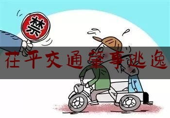 茌平交通肇事逃逸（酒后驾驶两轮摩托车）