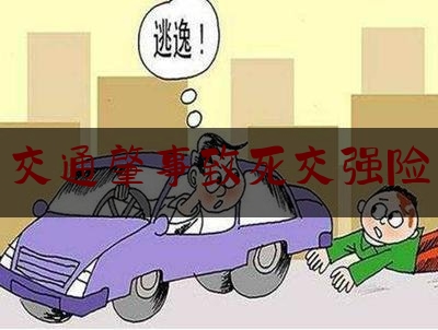 实事专业头条:交通肇事致死交强险,吊车在作业中发生事故属于交强险或第三责任险范畴吗