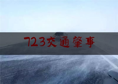 723交通肇事（中阳：开车揉眼睛 不慎撞行人）