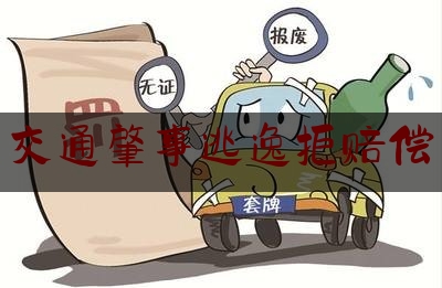 分享看法大全:交通肇事逃逸拒赔偿,丈夫肇事逃逸妻子还债吗