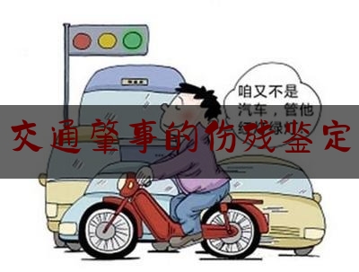 查看热点头条:交通肇事的伤残鉴定,道路交通事故的损失由受害人故意造成的保险公司是否赔偿