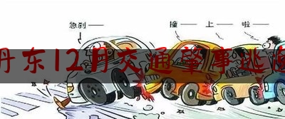 丹东12月交通肇事逃逸（公安局港航分局工作怎么样）