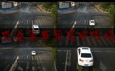 一起来了解一下交通肇事罪庭审现场,宝马女醉驾撞飞辅警事件新闻发布会