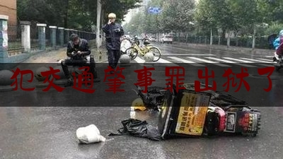 查看热点头条:犯交通肇事罪出狱了,交通肇事致一人死亡