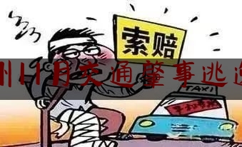 郑州11月交通肇事逃逸案（大爷骑三轮车撞上豪车）