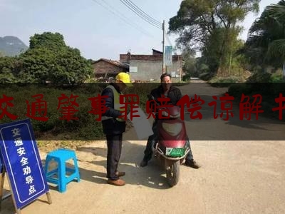 交通肇事罪赔偿谅解书（道路交通事故赔偿协议书（含刑事谅解内容）参考文本）