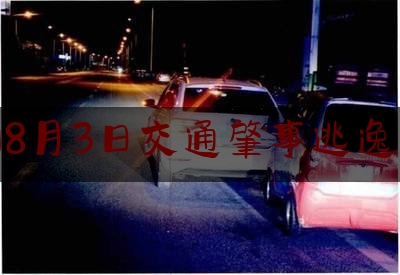 枞阳8月3日交通肇事逃逸事故（男子在枞阳酒后肇事逃逸 受害人不幸当场身亡案例）