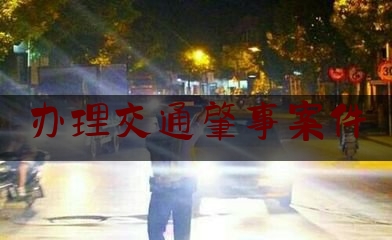 办理交通肇事案件（道路交通事故伤亡人员损害赔偿问题处理指南）